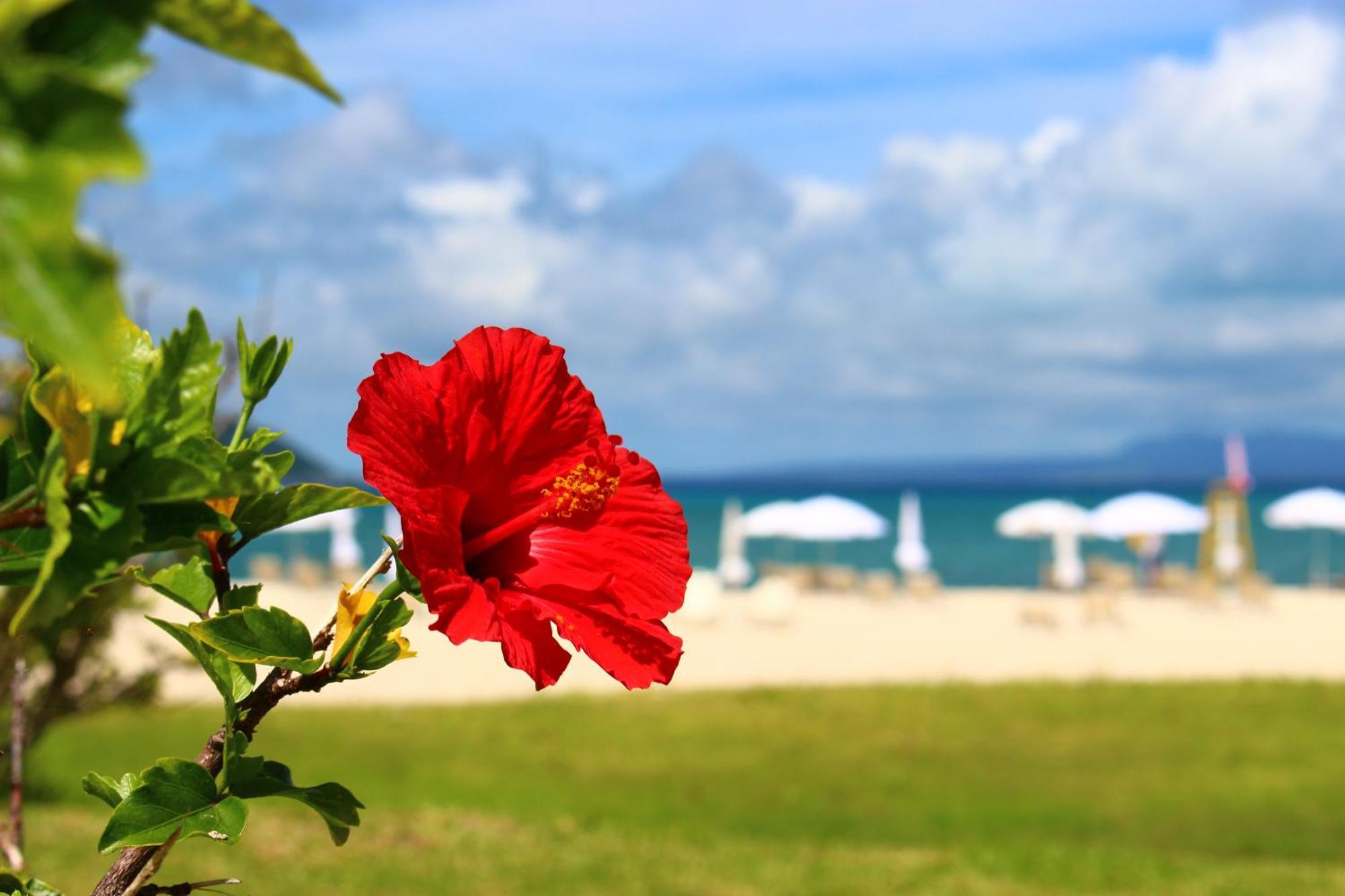 Okuma Private Beach & Resort Kunigami Eksteriør bilde